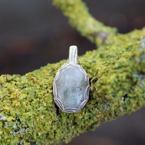 Labradoriet208.1sfeer